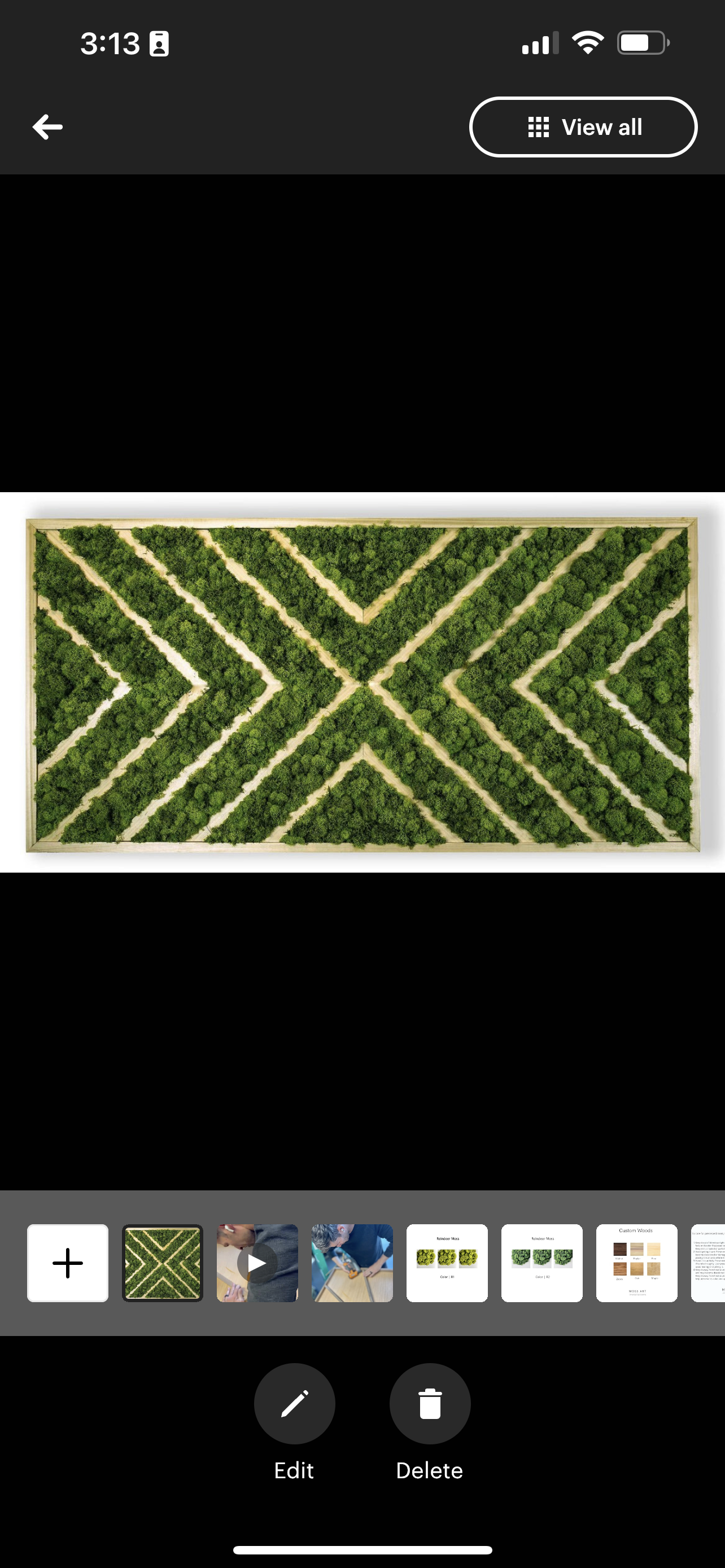Moss Wall Art by Moss Art Installations