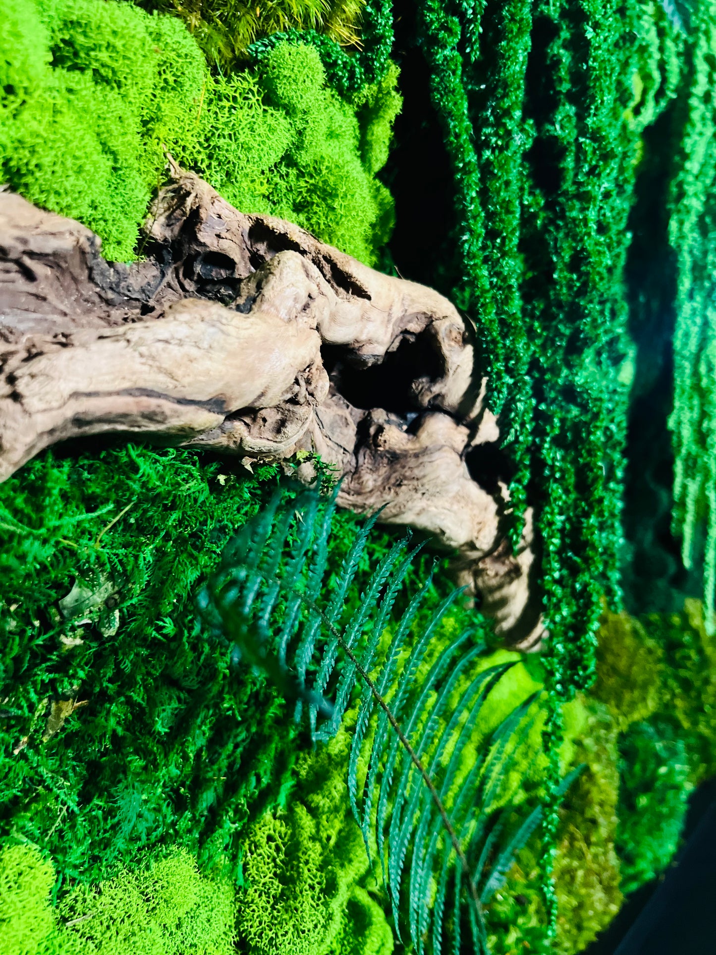‘The Forgotten Forest’ Moss Wall Art by Moss Art Installations