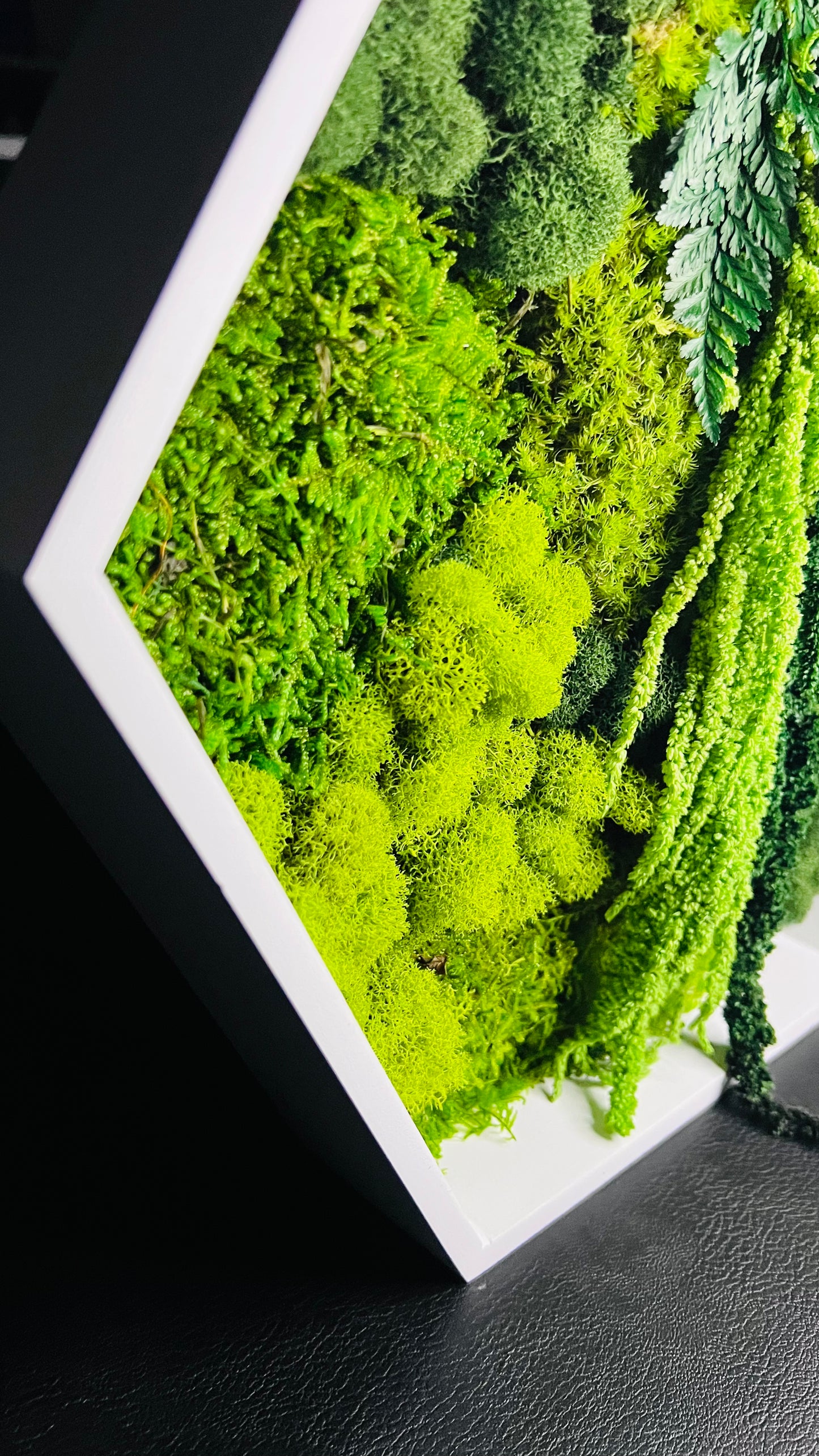 Hexagon Botanical Garden Moss Wall Art by Moss Art Installations