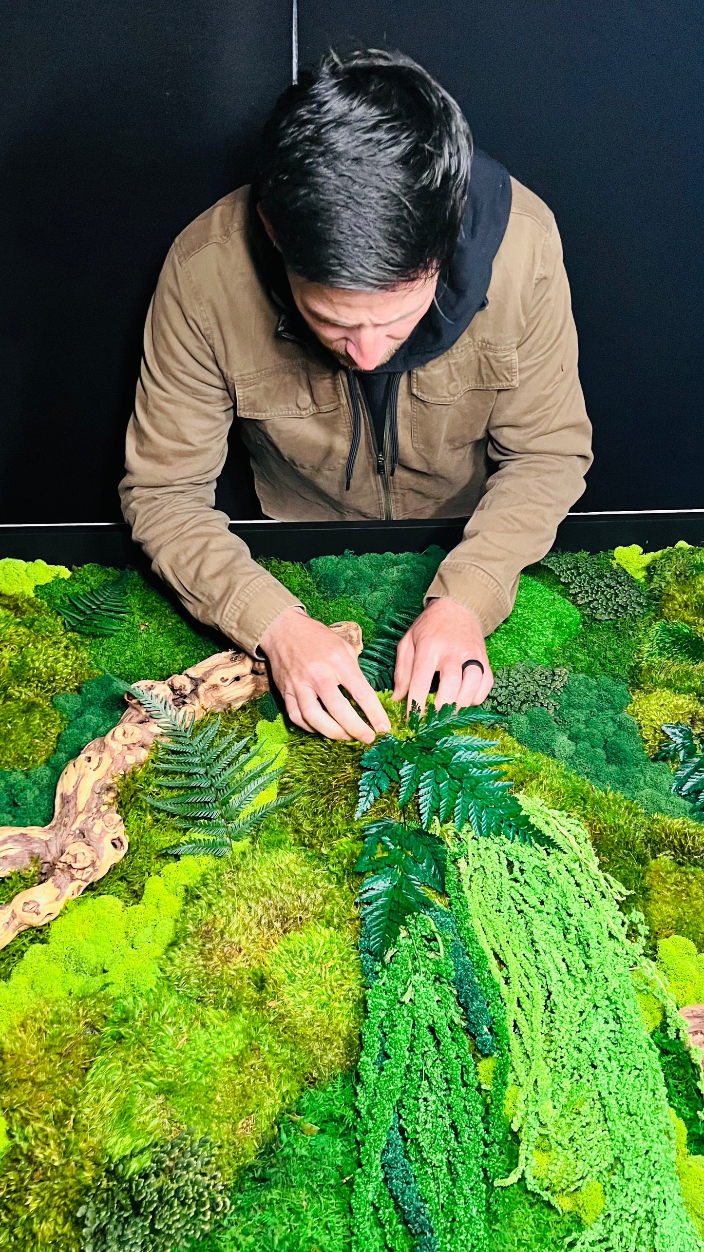 ‘The Forgotten Forest’ Moss Wall Art by Moss Art Installations