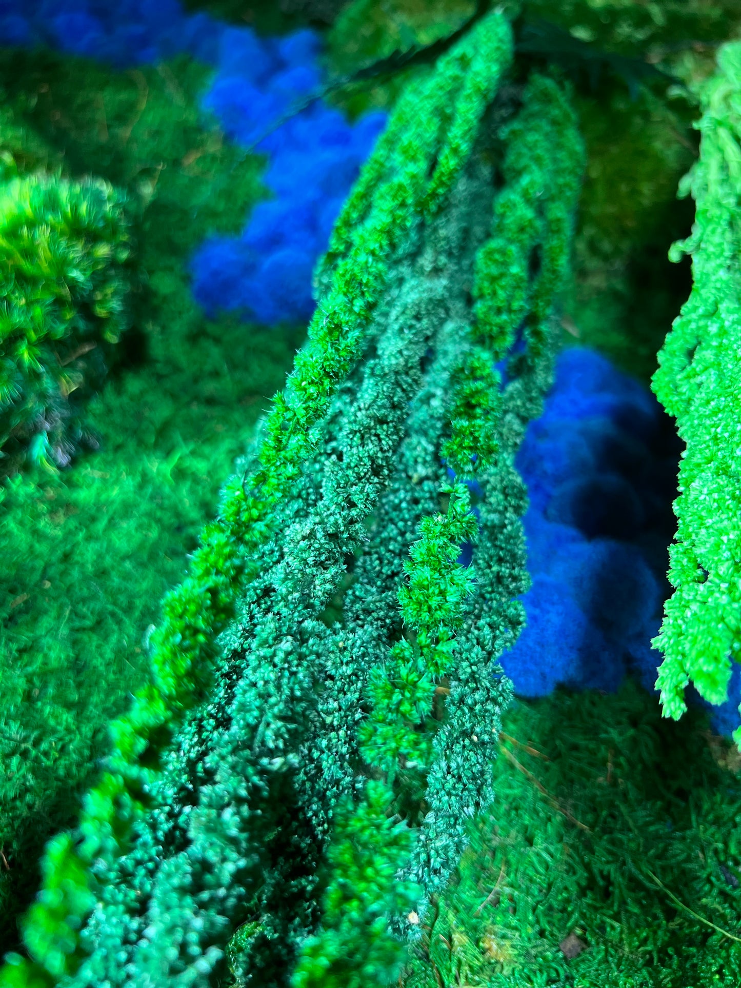 Rio Azul Moss Wall Art by Moss Art Installations