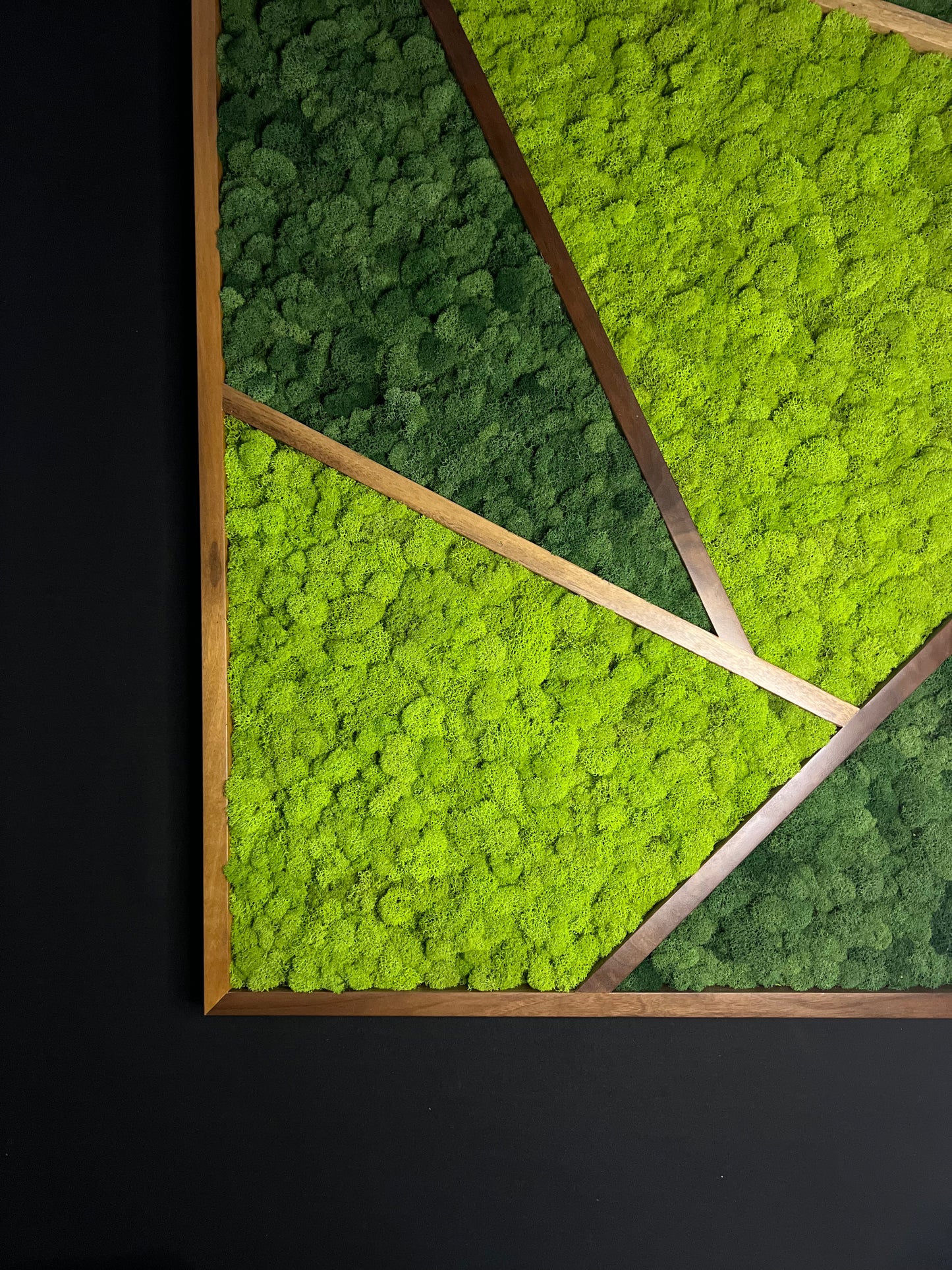 Mid-Century Modern Moss Art