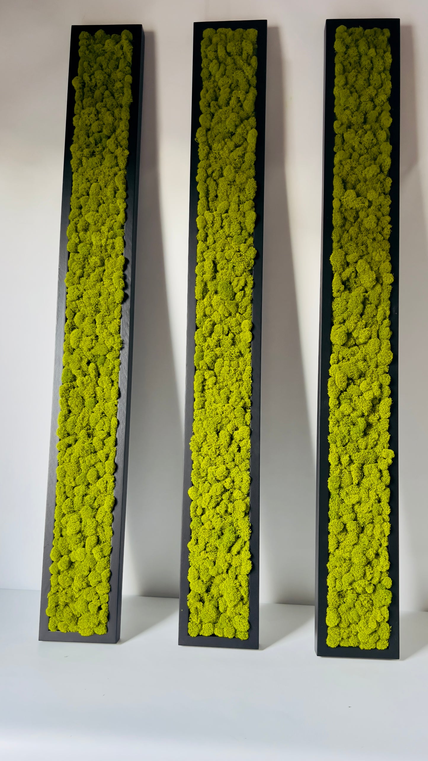 6 Set Panels