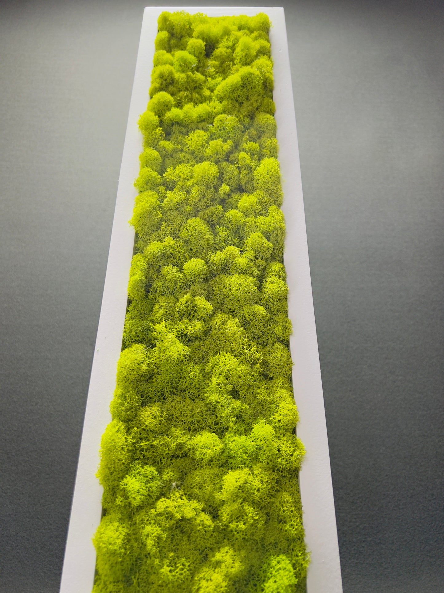 Wall Panel 3 Set