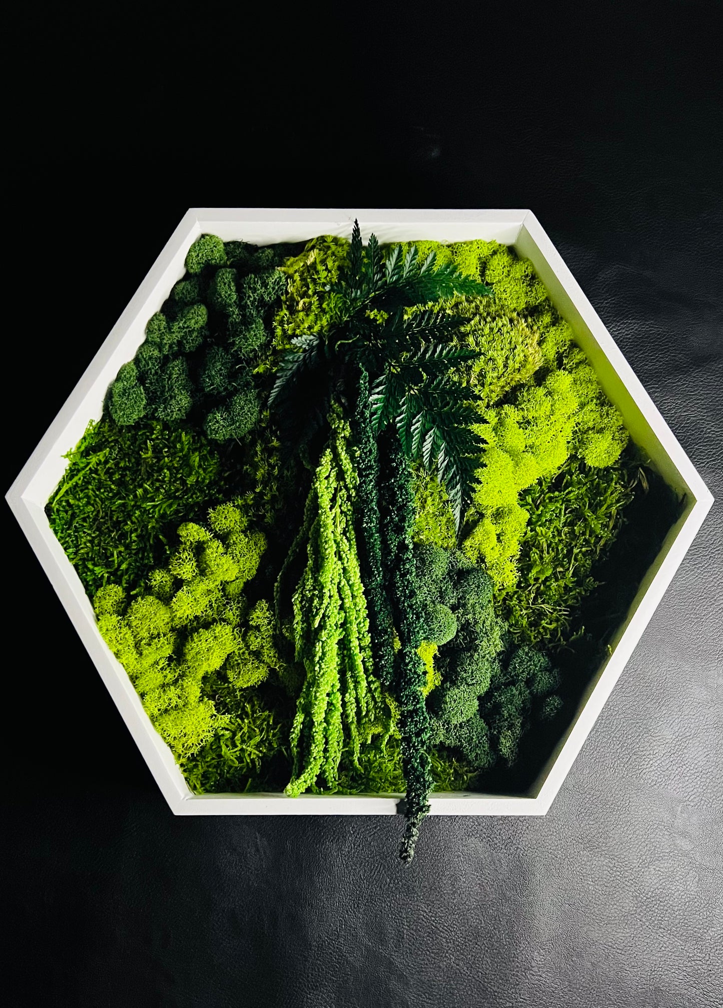 Hexagon Botanical Garden Moss Wall Art by Moss Art Installations