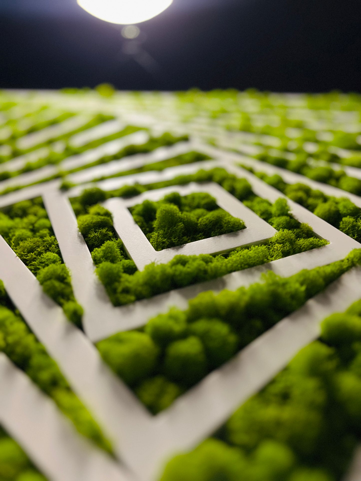 Fibonacci Moss Wall Art Moss wall art by Moss Art Installations