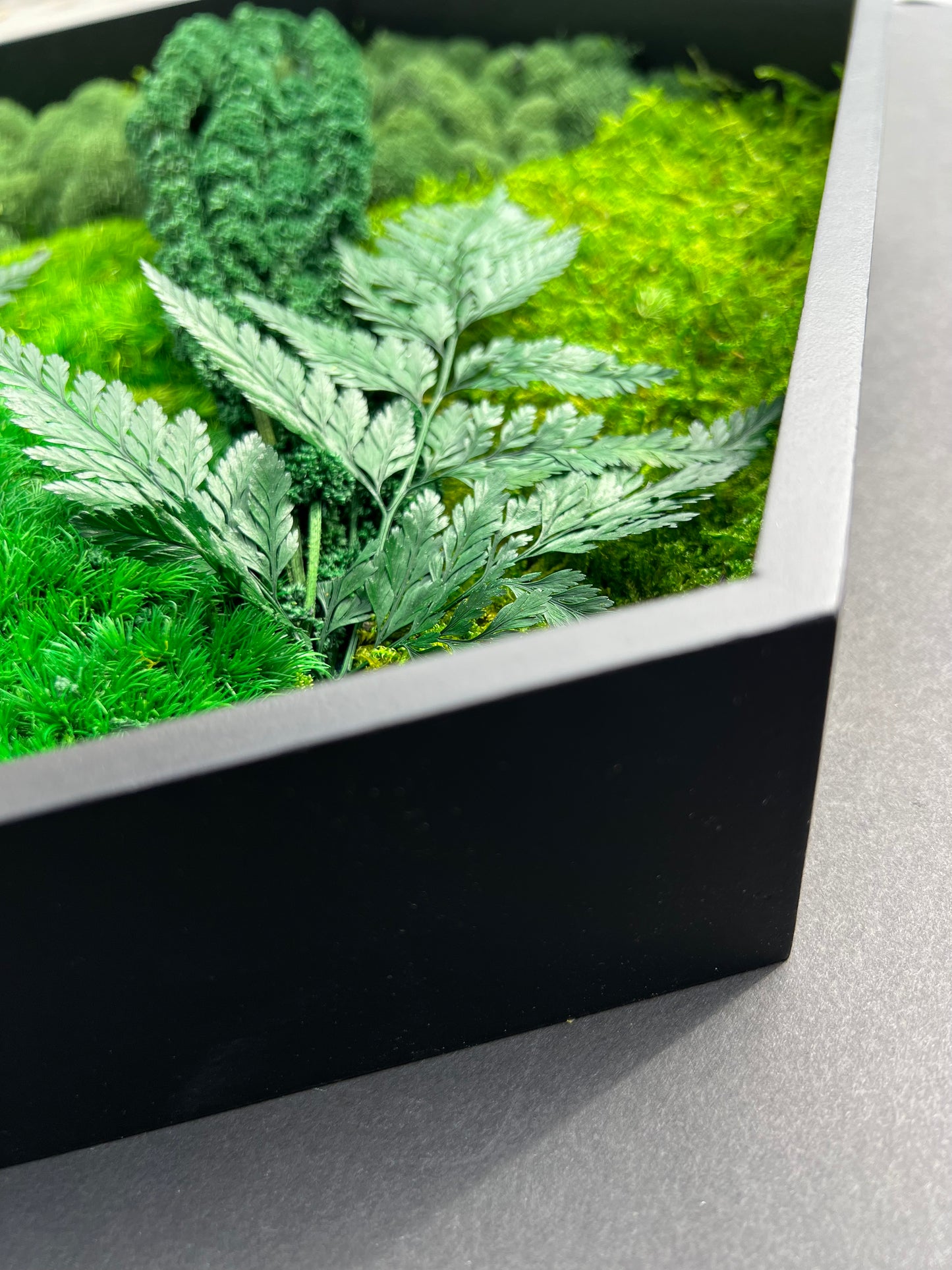 Hexagon Botanical Garden Moss Wall Art by Moss Art Installations