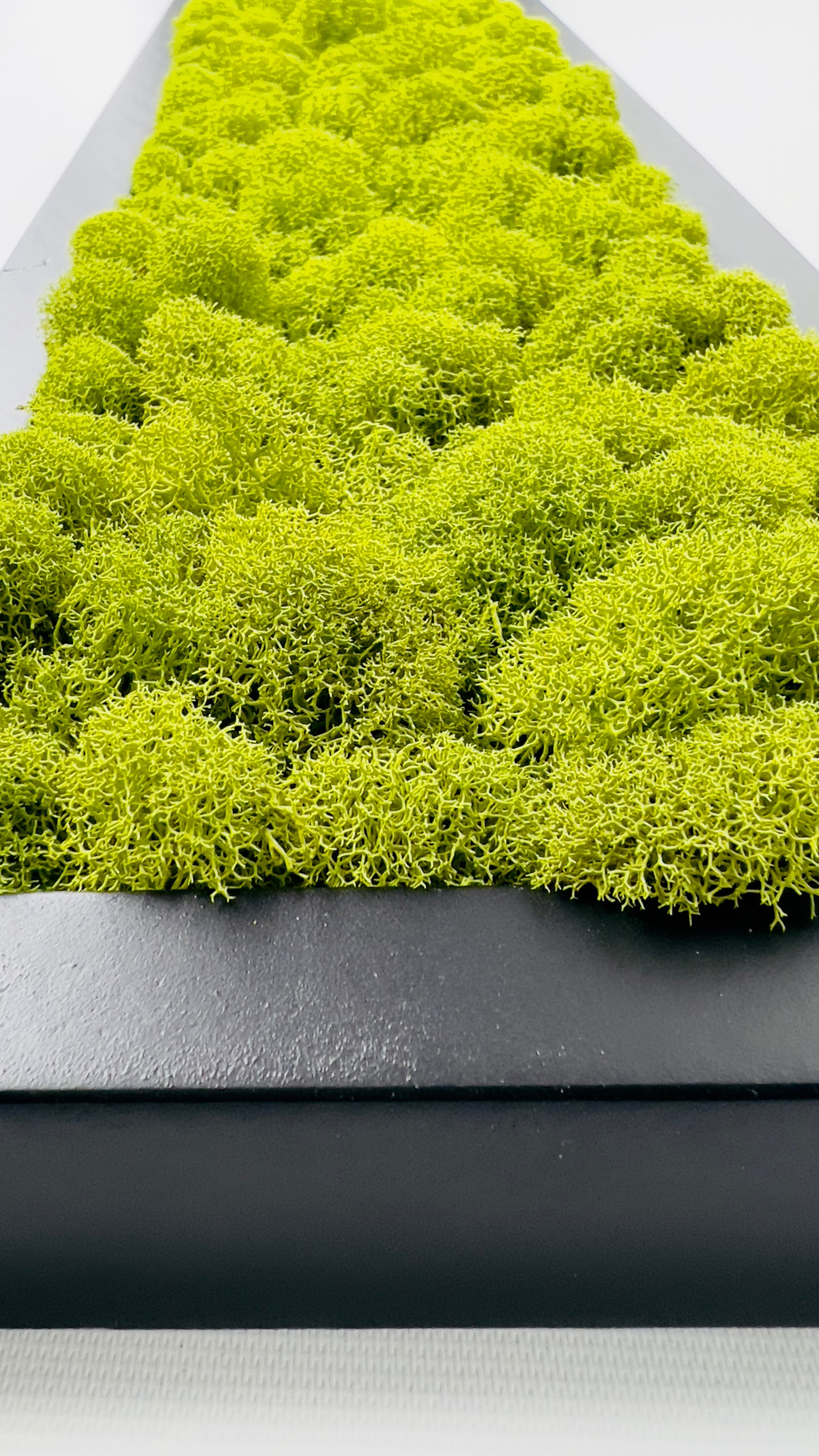 Wall Panel 3 Set