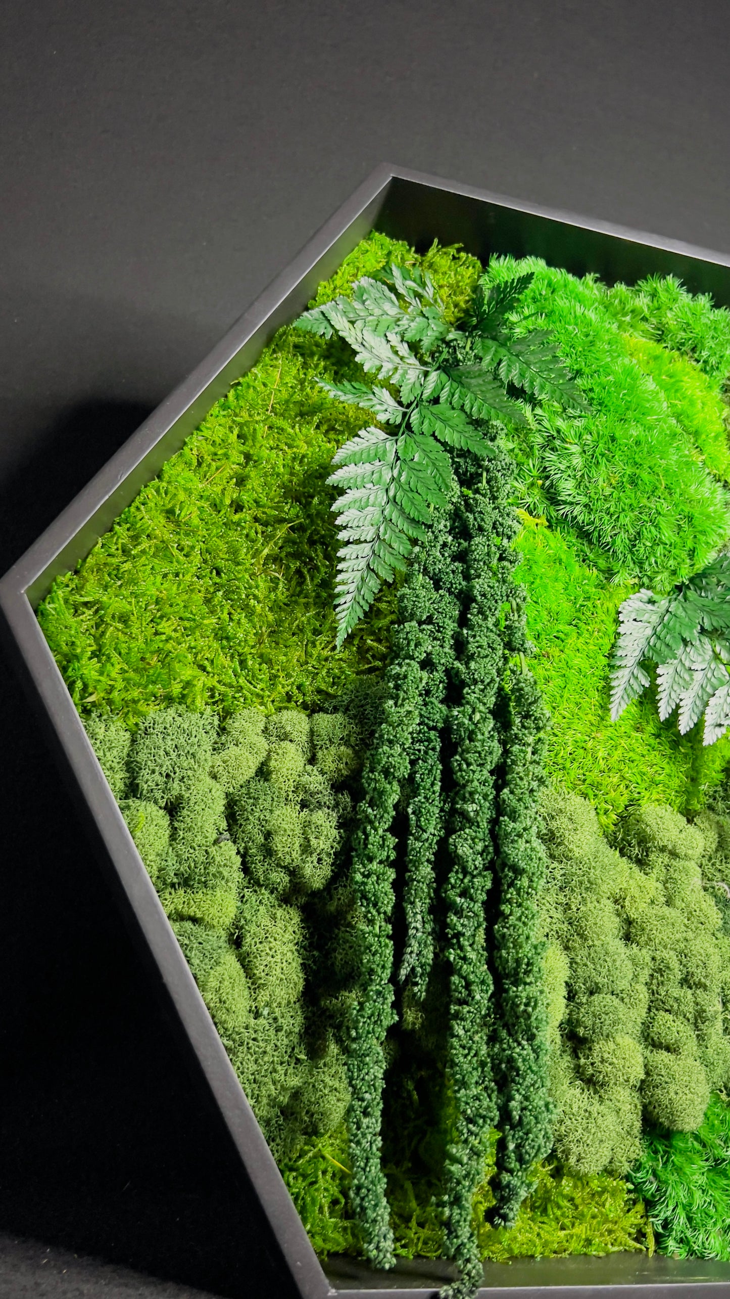 Hexagon Botanical Garden Moss Wall Art by Moss Art Installations