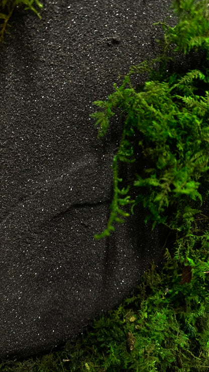 The Black Onyx Forest