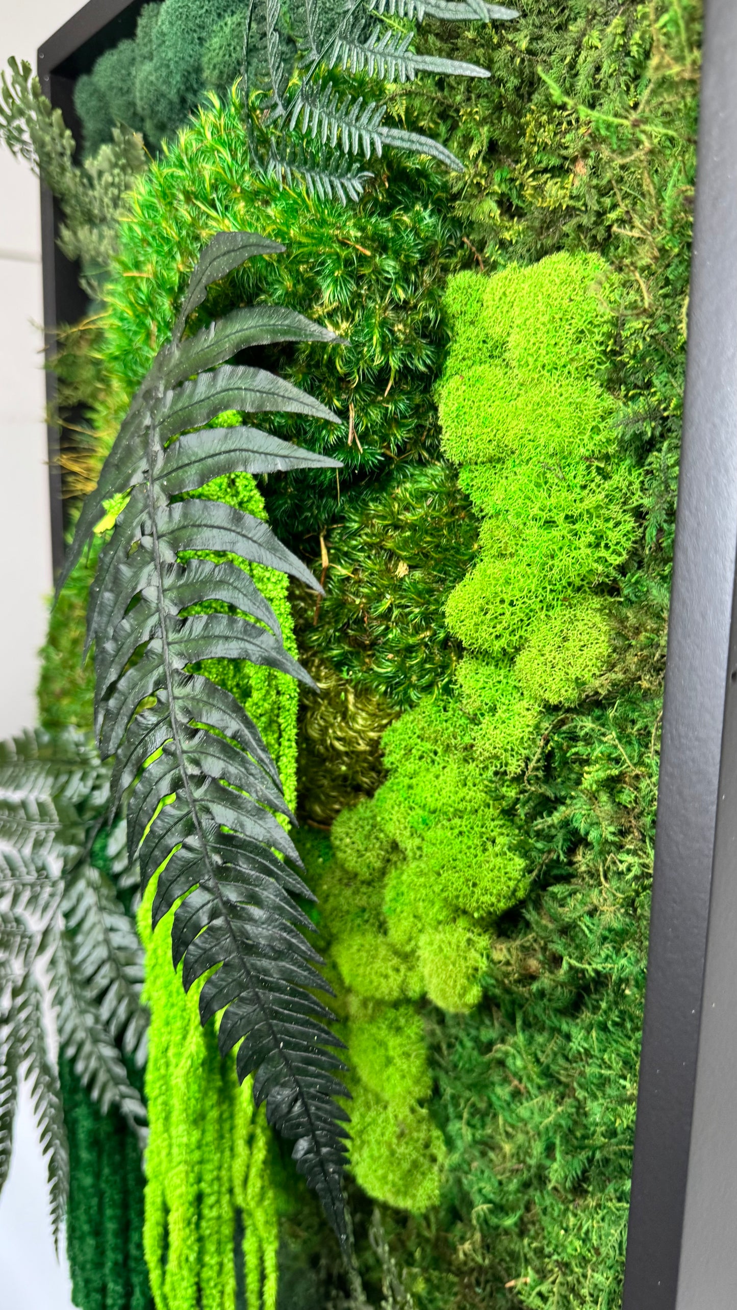 Rainforest Botanical Garden Mini