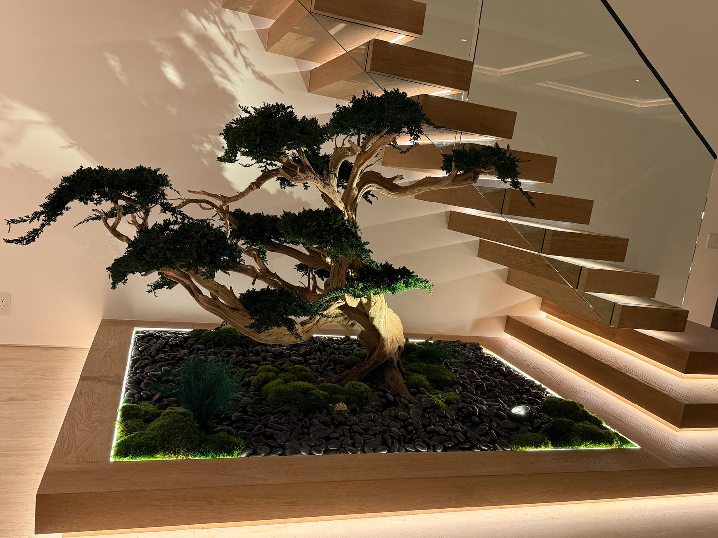 Preserved Bonsai Tree