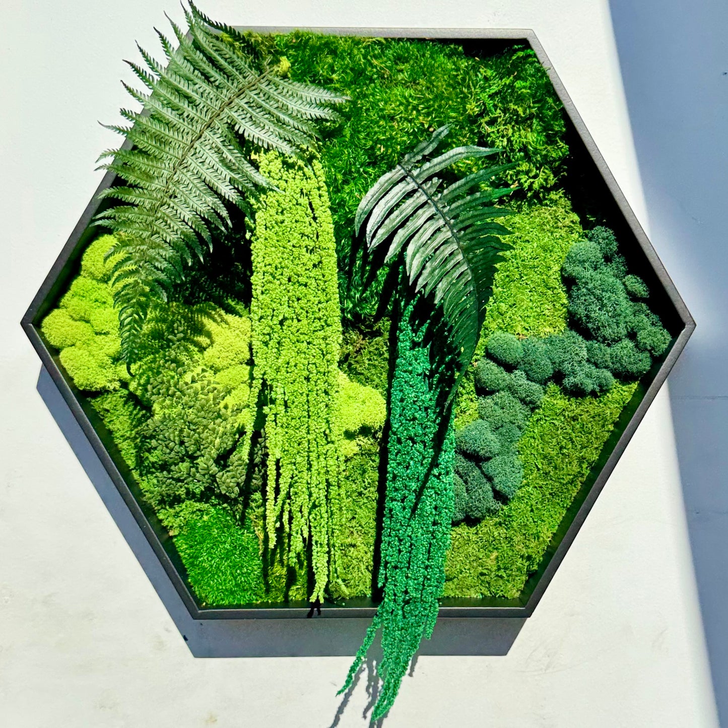 Hexagon Botanical Garden Moss Wall Art by Moss Art Installations