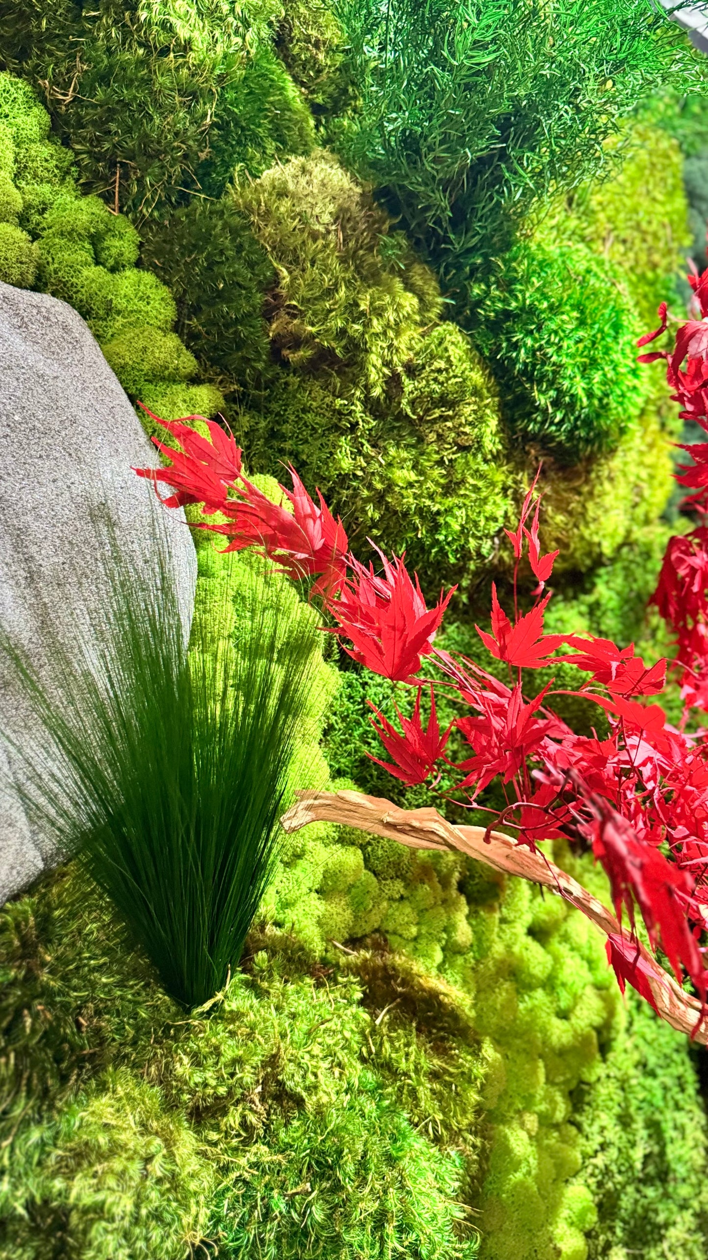 The Zen Garden