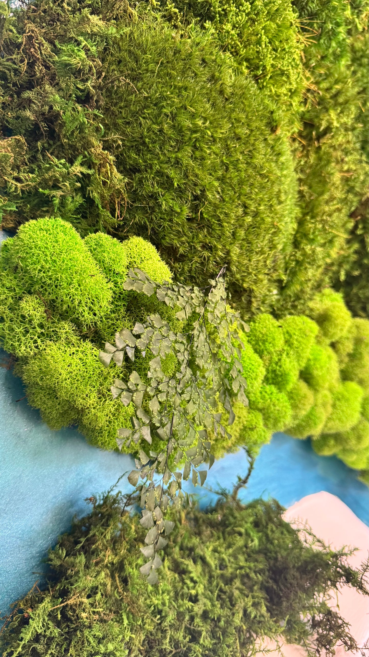The Lagoon