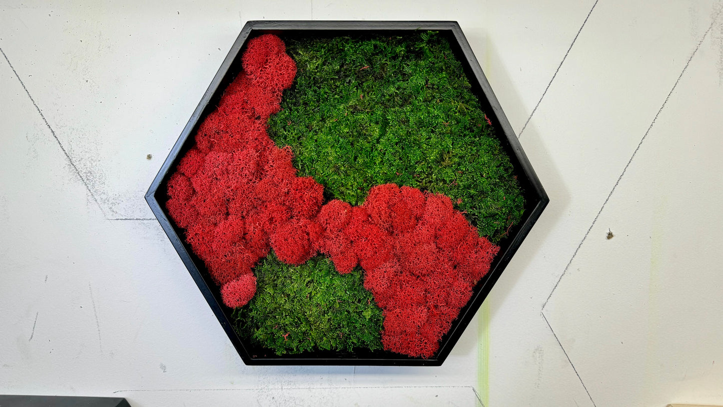 Moss Art Hexagons