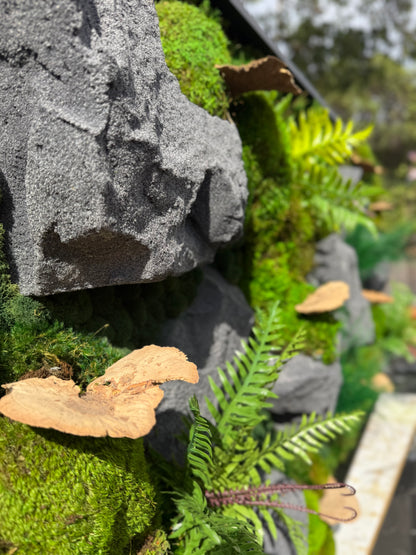 Stone River