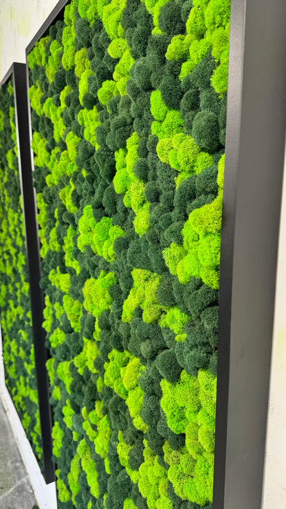 Reindeer Moss Wall