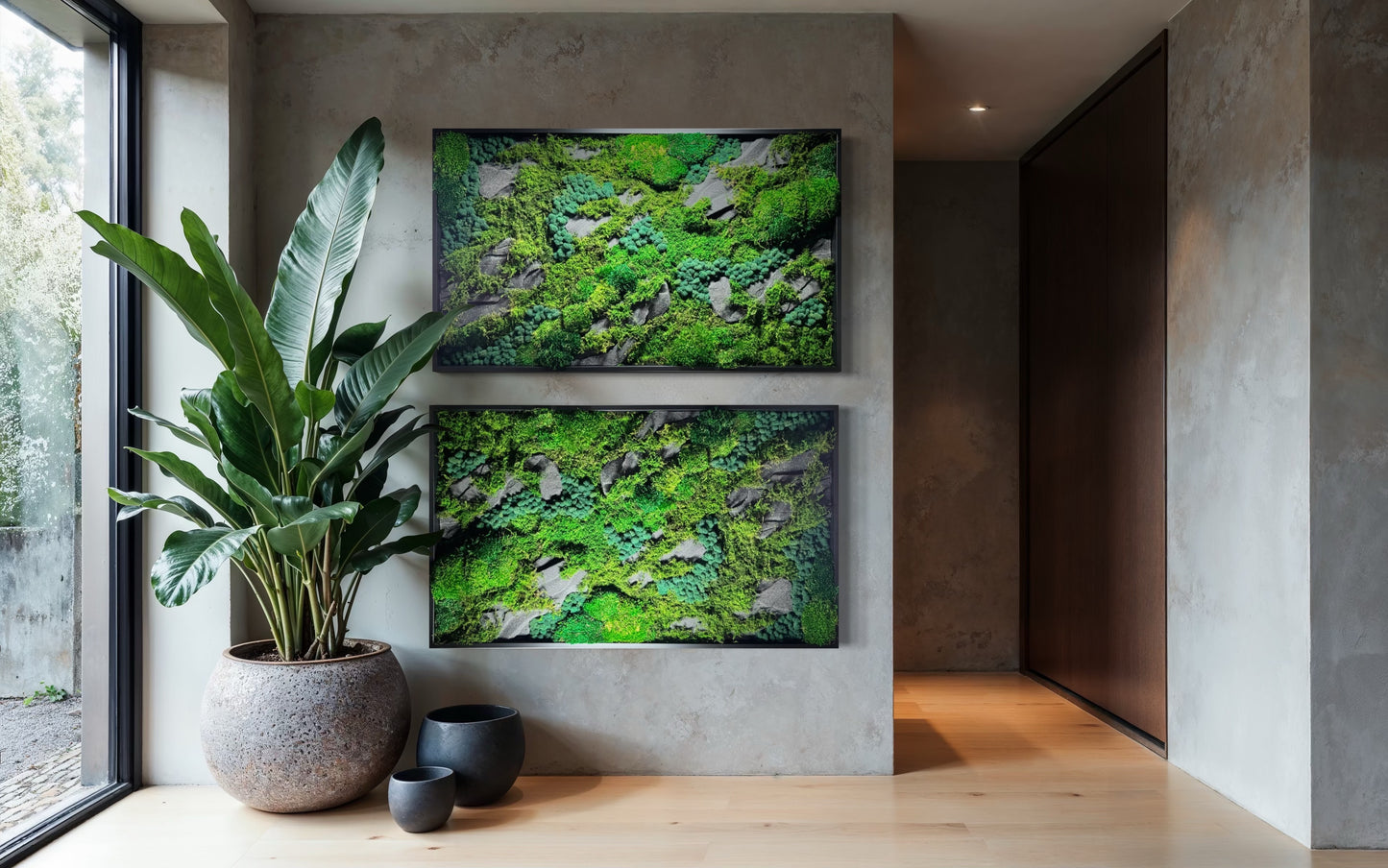 The Black Onyx Forest