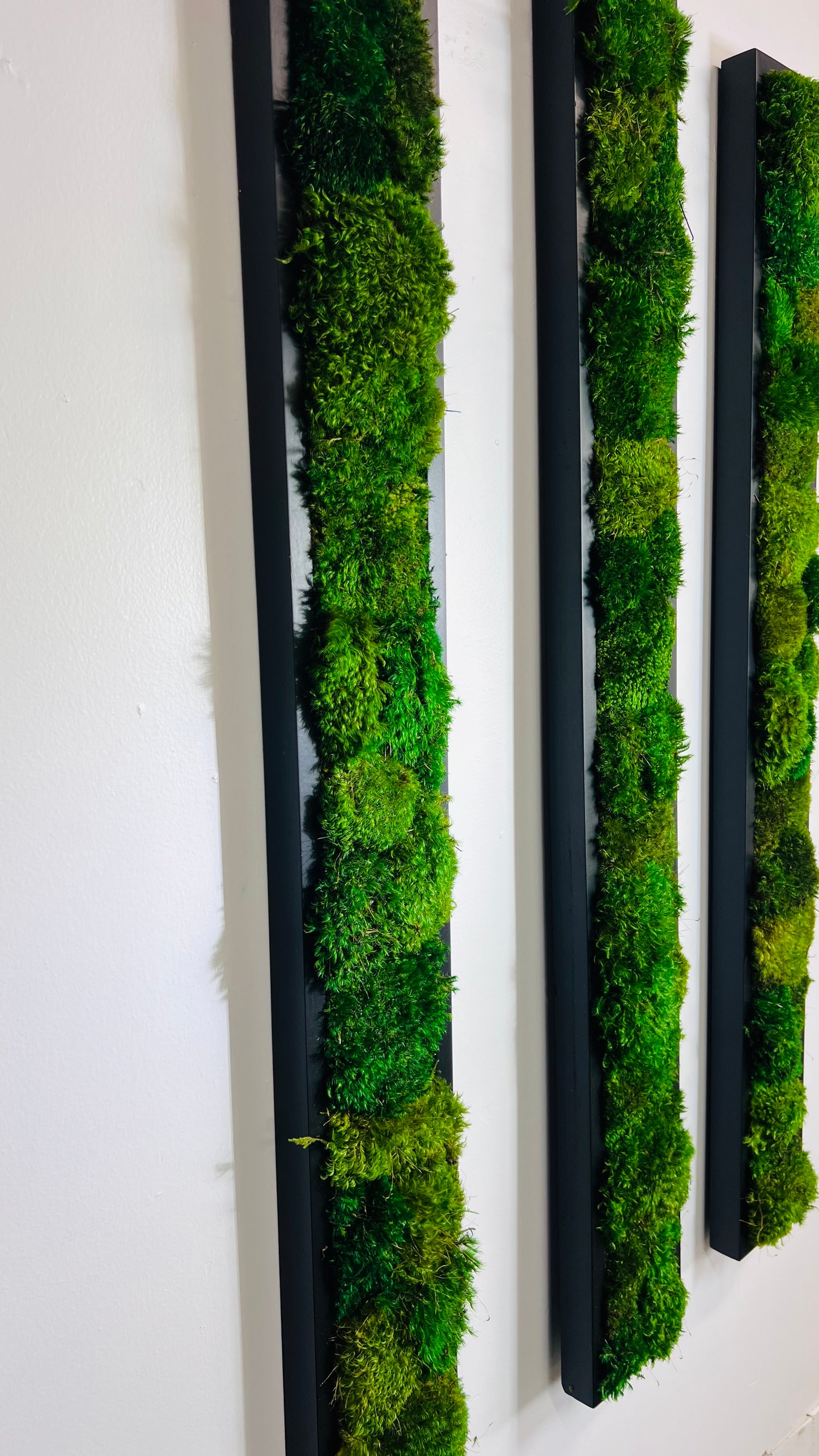 Pillow Moss Panels