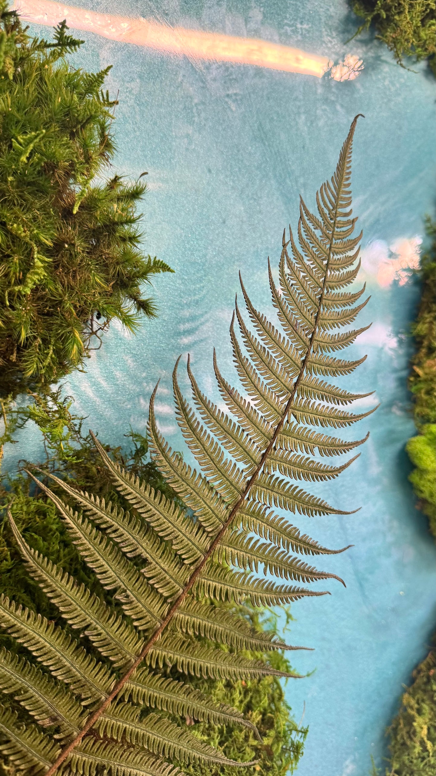 The Lagoon