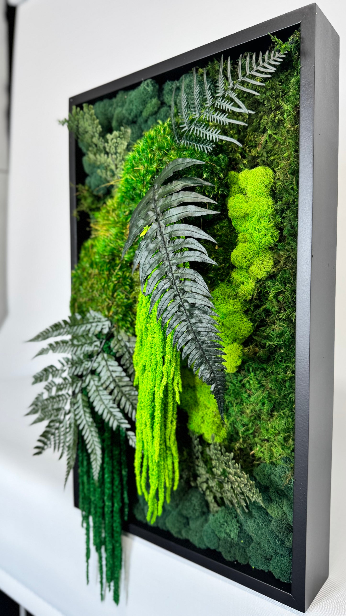 Rainforest Botanical Garden Mini