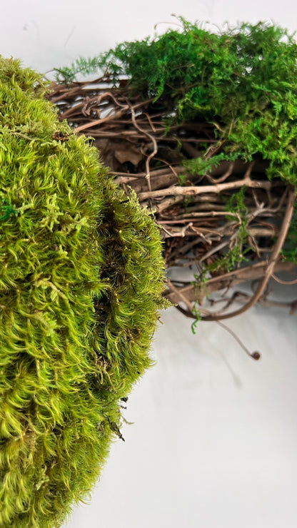 Whimsical Moss Wreath