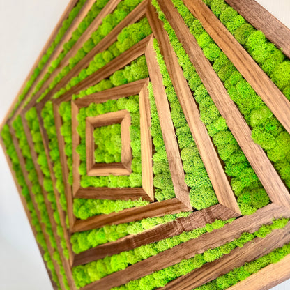 Fibonacci Moss Wall Art Moss wall art by Moss Art Installations