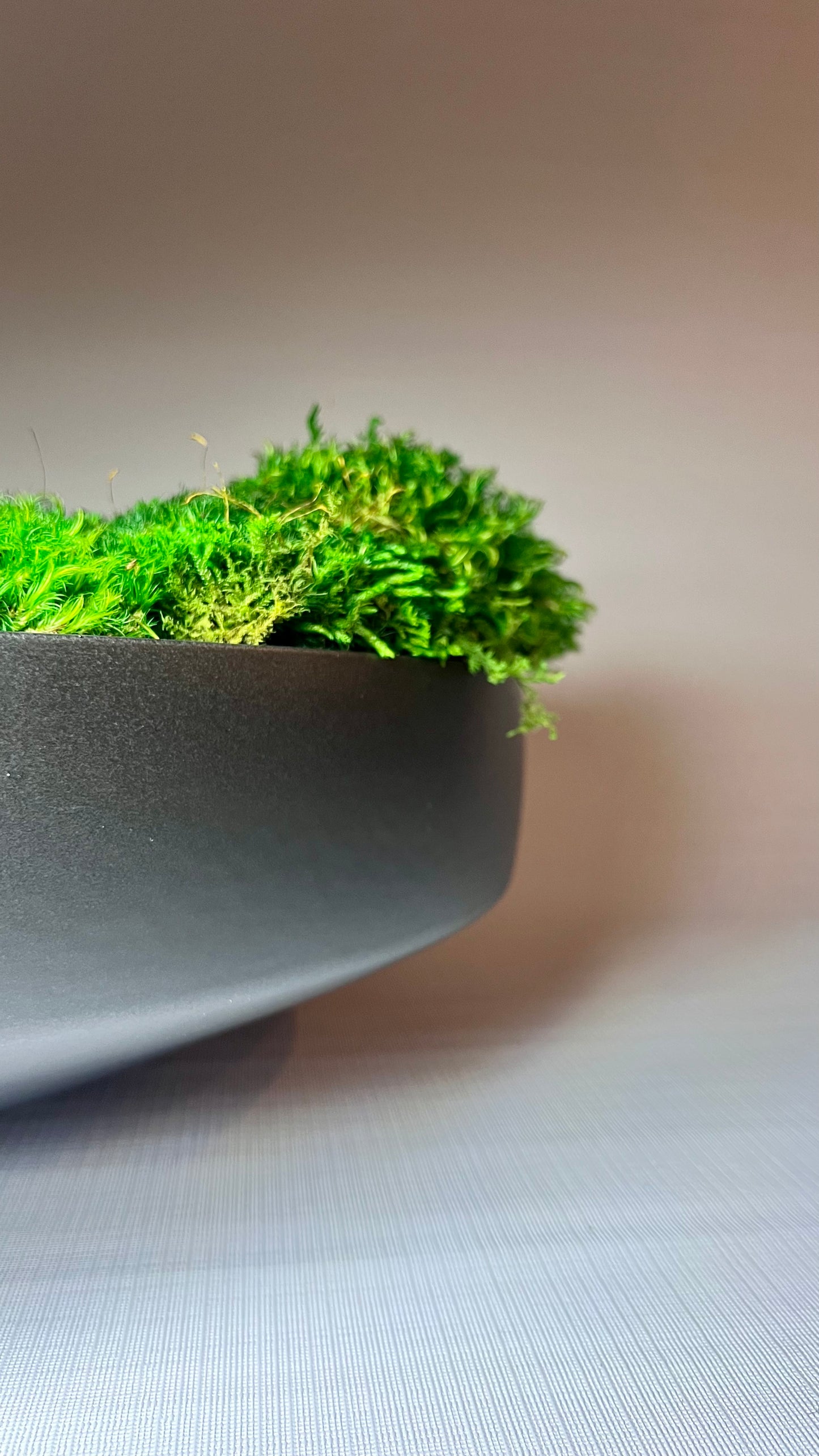 Moss Bowl Centerpiece