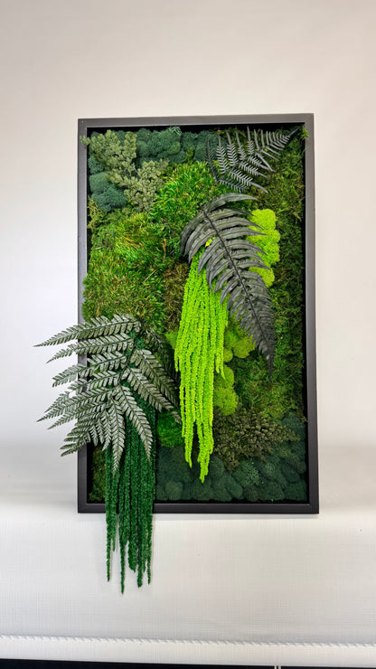 Rainforest Botanical Garden Mini