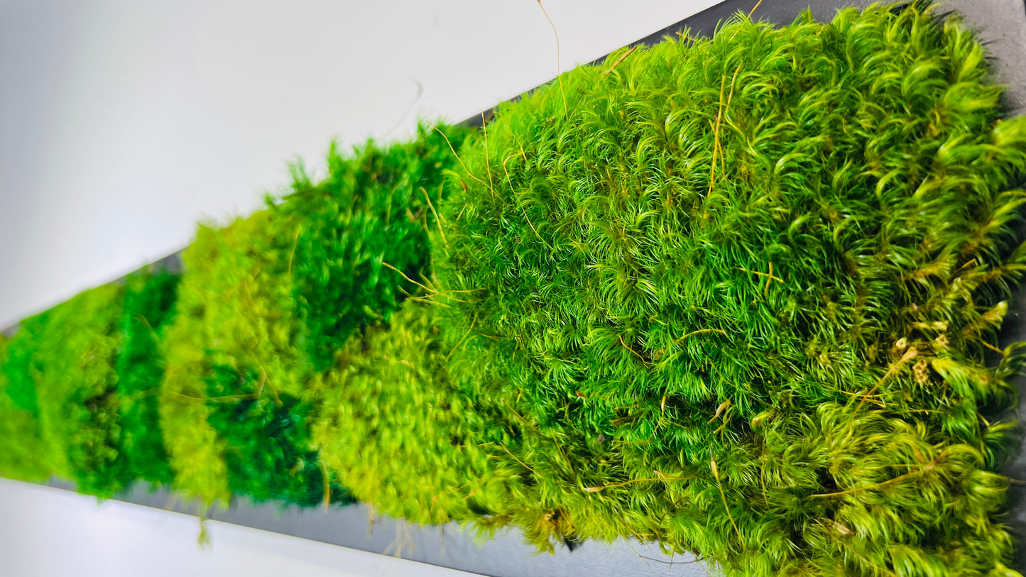 Pillow Moss Panels