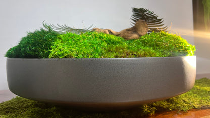 Moss Bowl Centerpiece