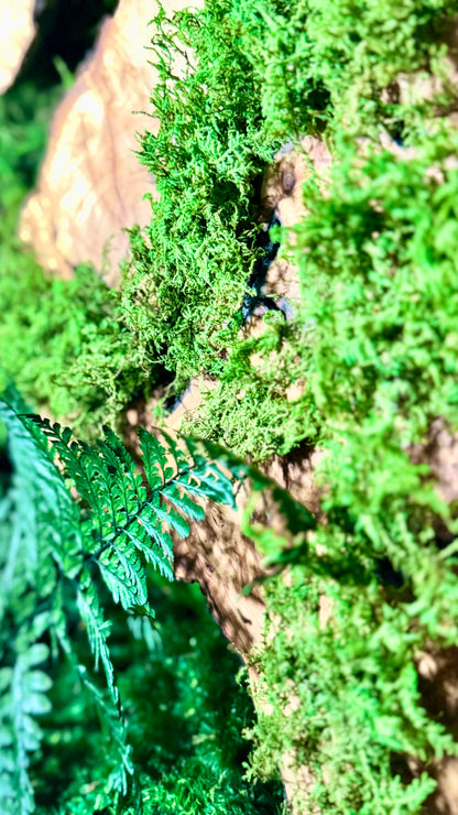 The Overgrown Forest