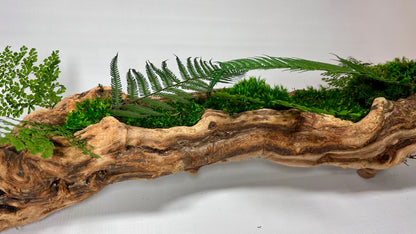 Twisted Grapewood Center Piece