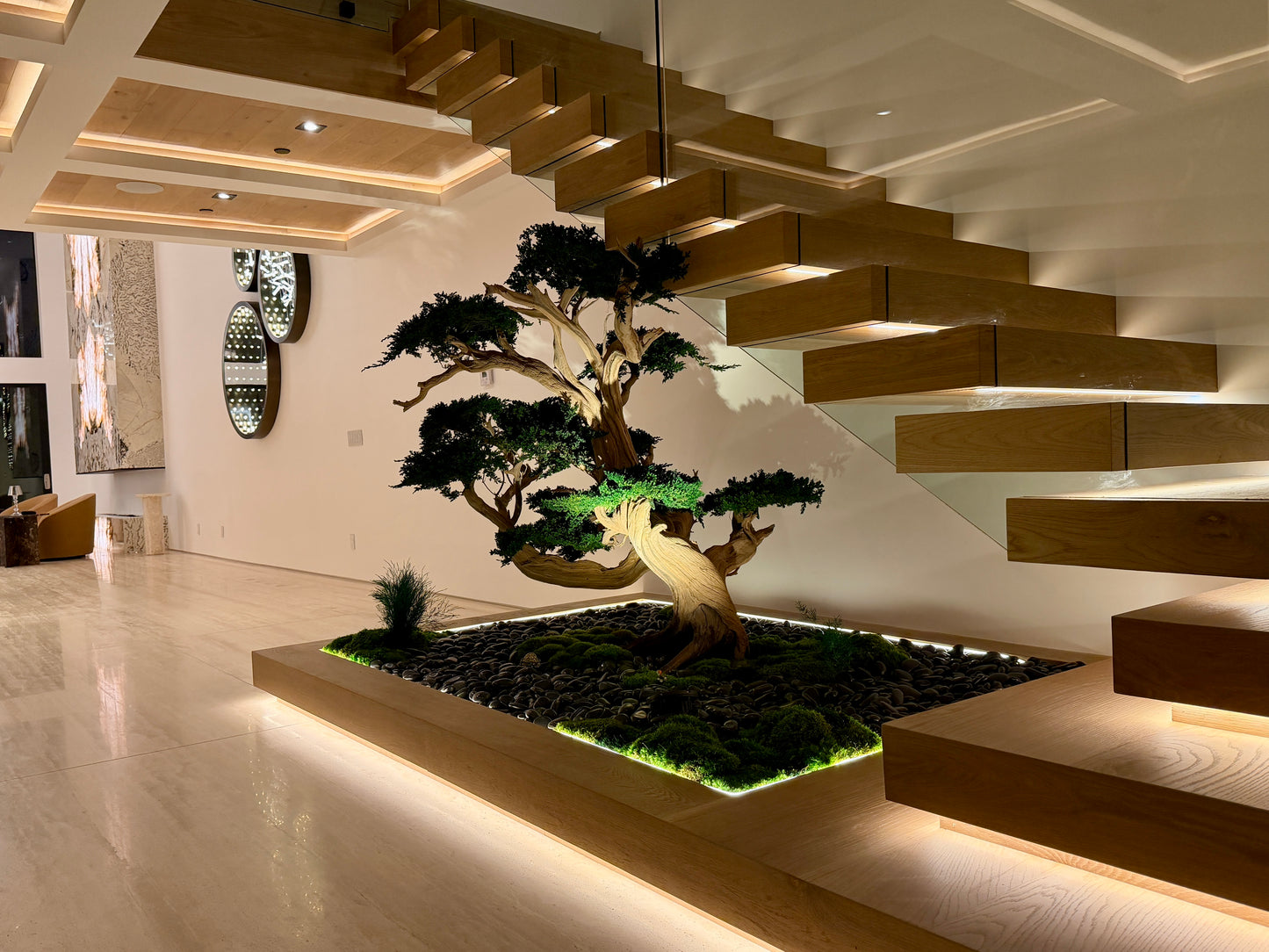 Preserved Bonsai Tree