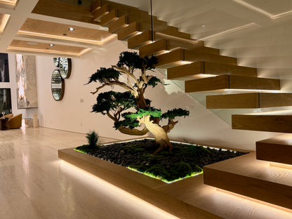 Preserved Bonsai Tree