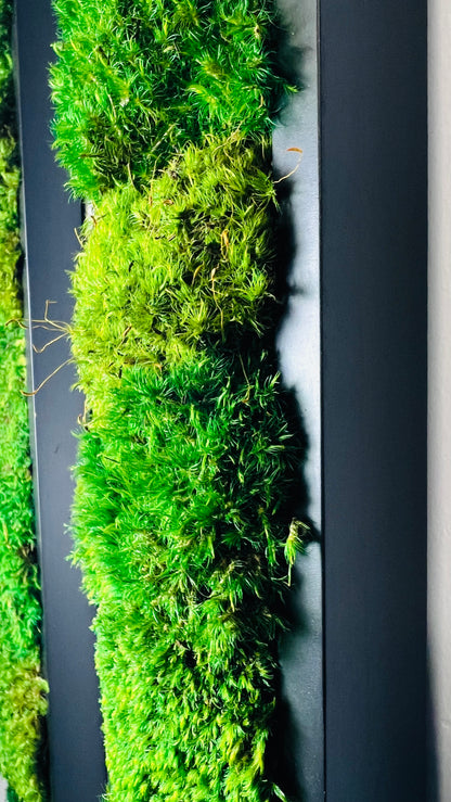 Pillow Moss Panels