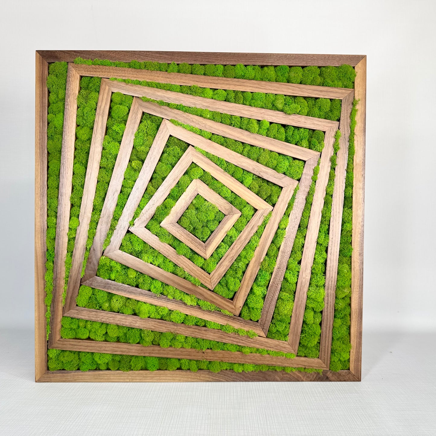 Fibonacci Moss Wall Art Moss wall art by Moss Art Installations