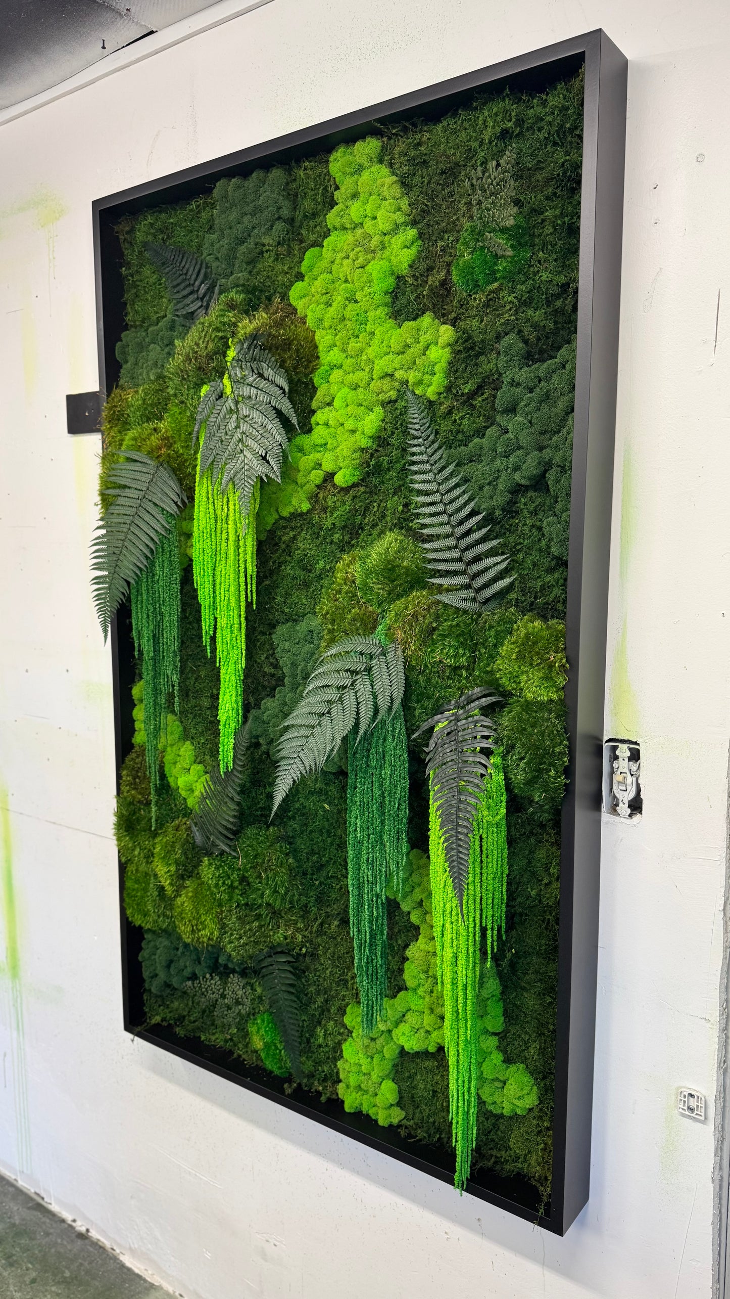 Rainforest Botanical Garden