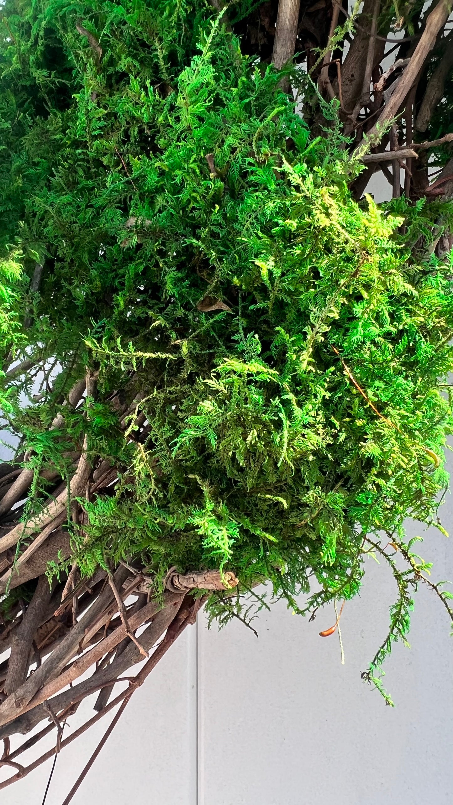 Whimsical Moss Wreath