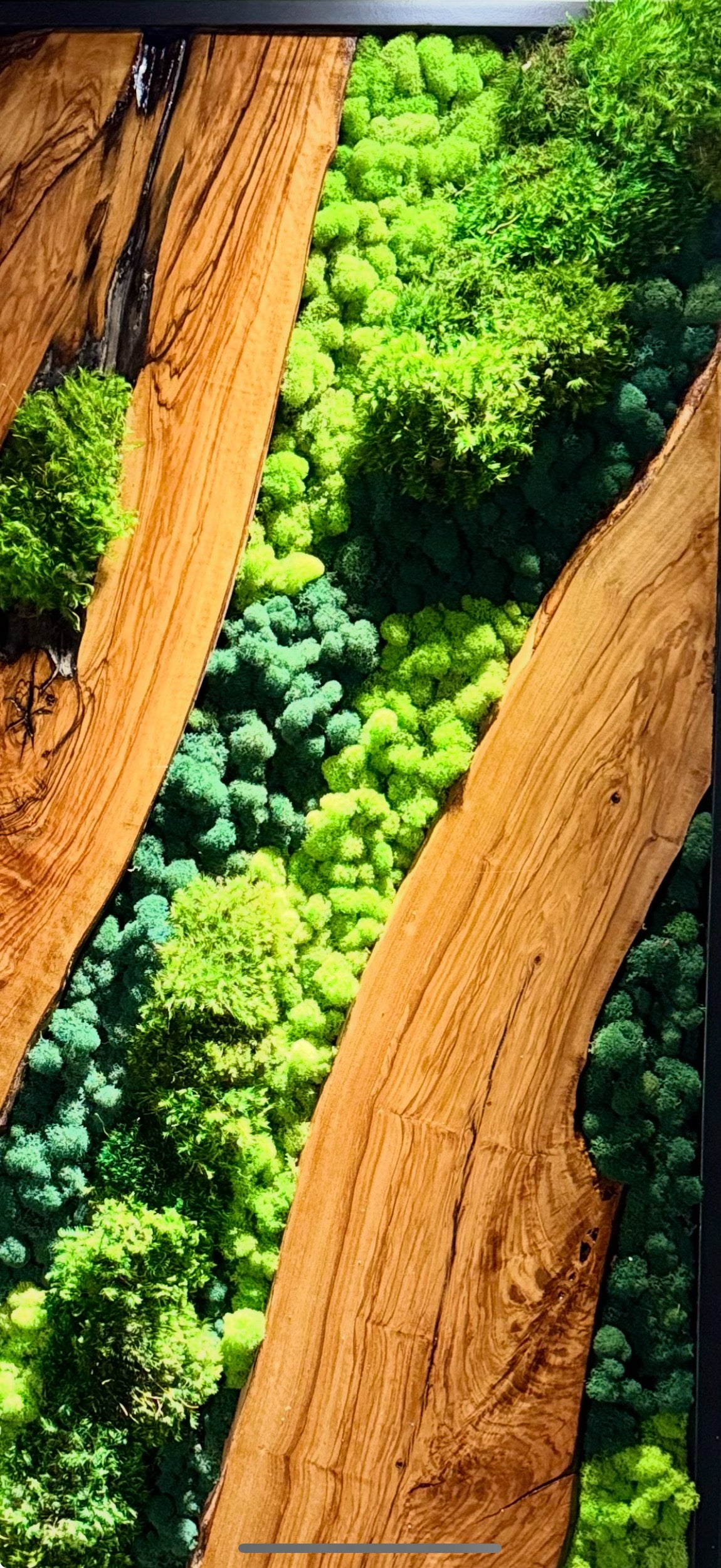 The Ember Forest