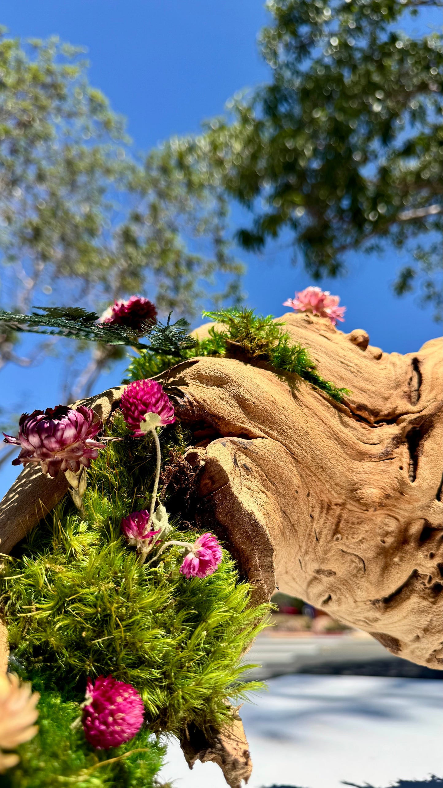 Wildflower Centerpiece