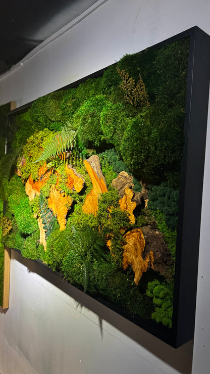 The Overgrown Forest