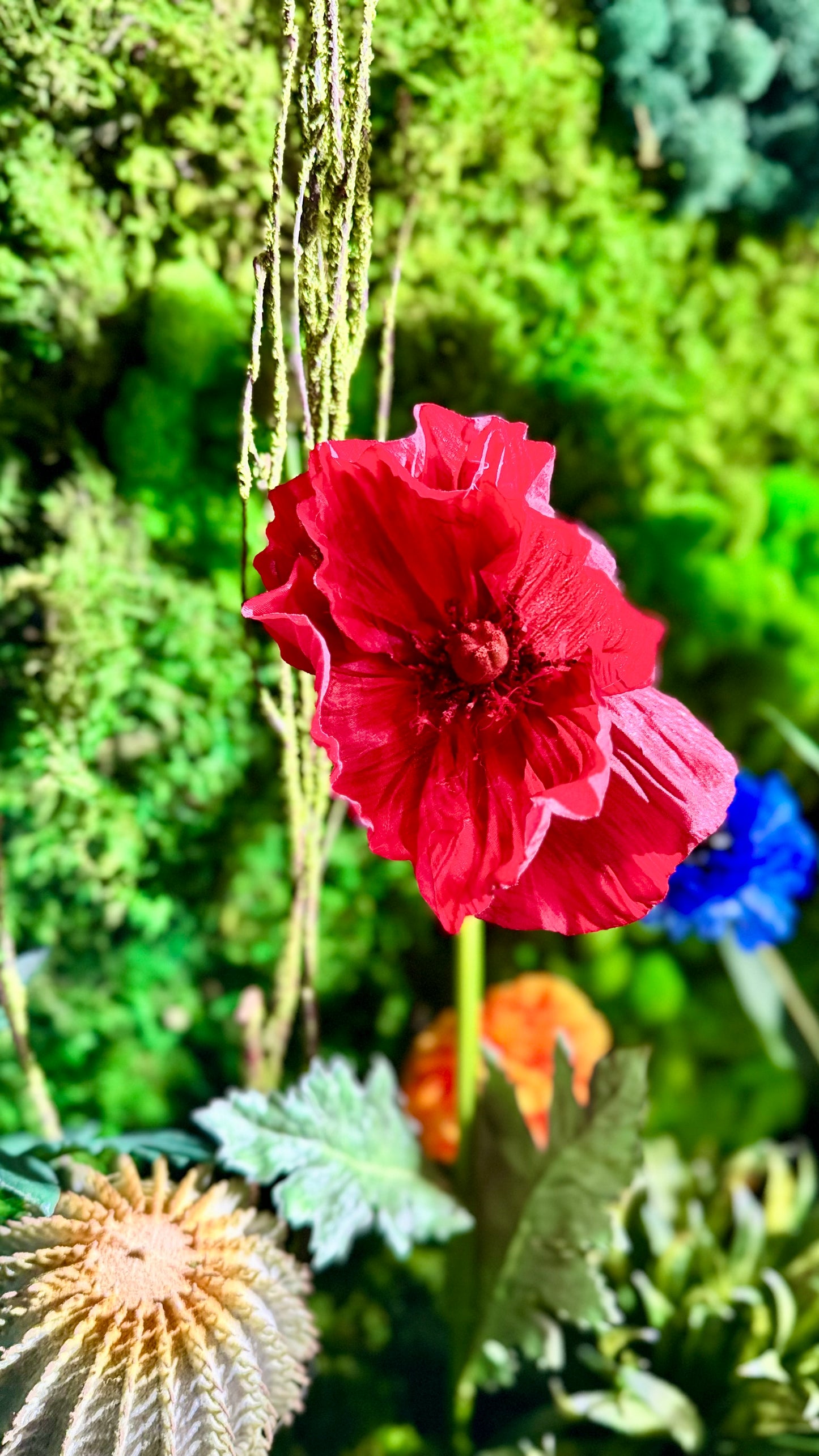 Eternal Spring