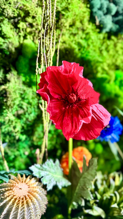 Eternal Spring