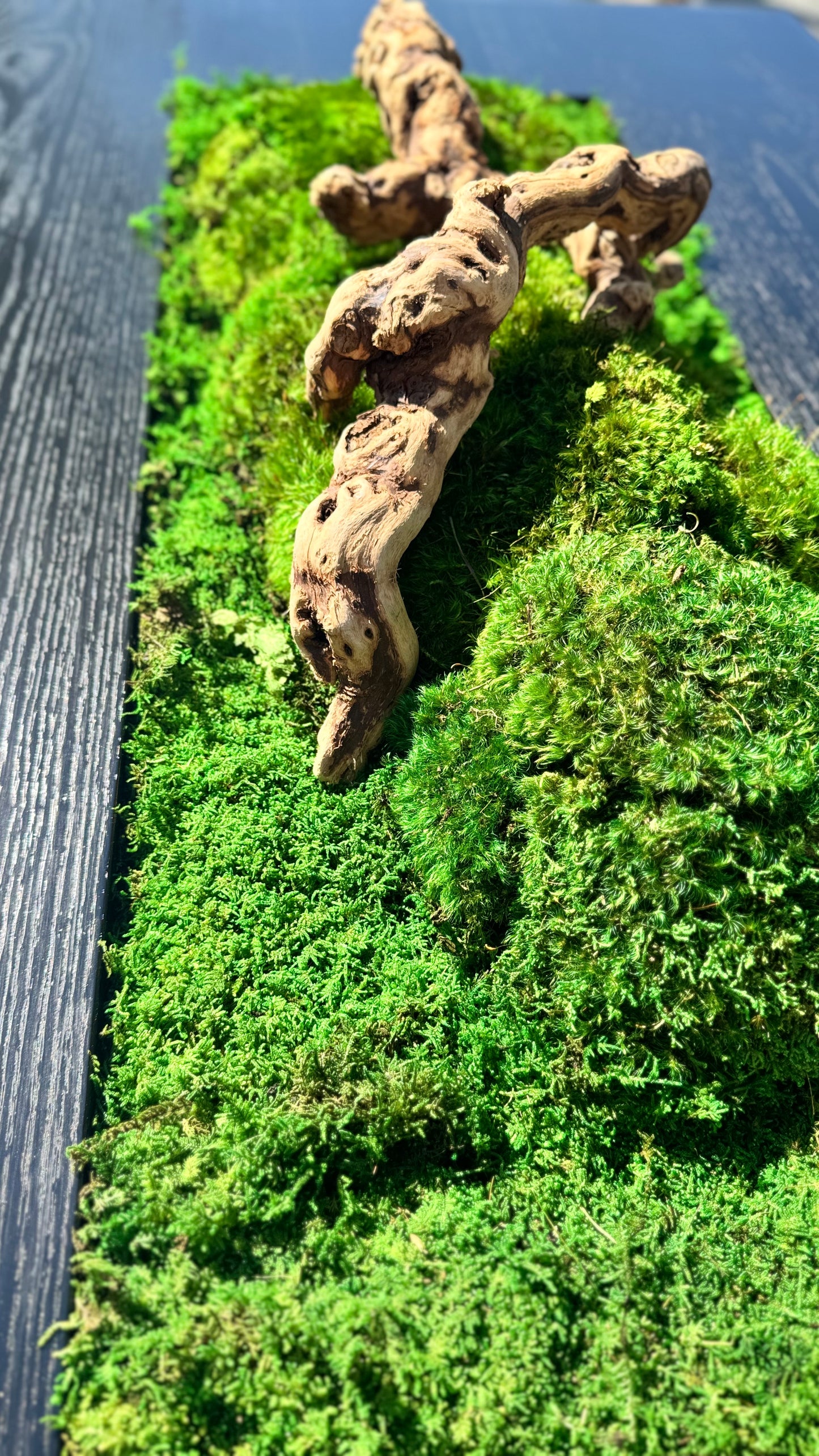 Isla Coffee Table