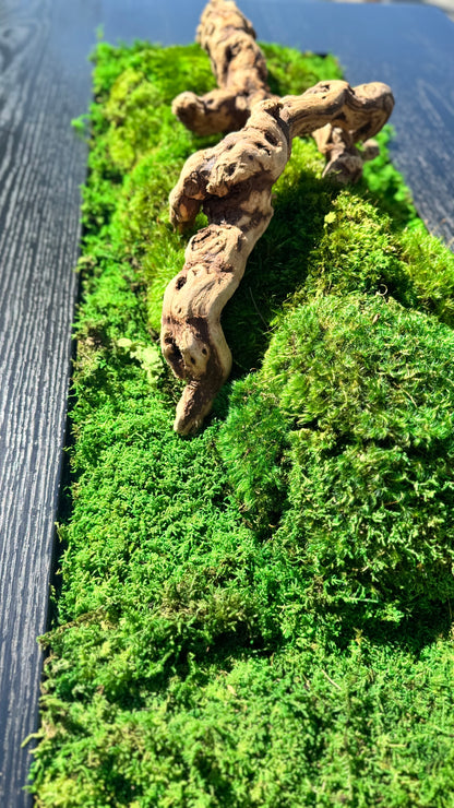 Isla Coffee Table