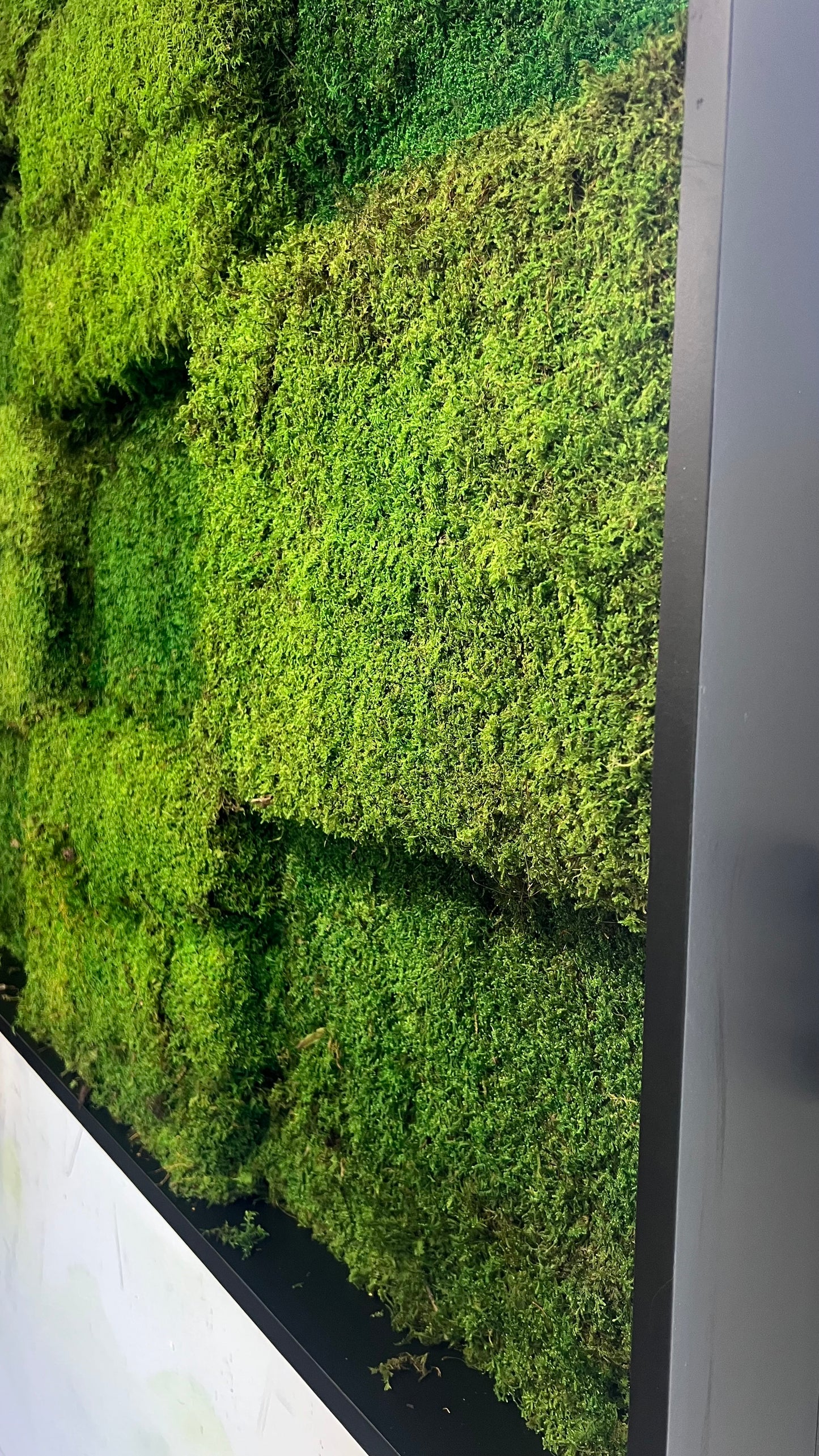 Block Moss Panels