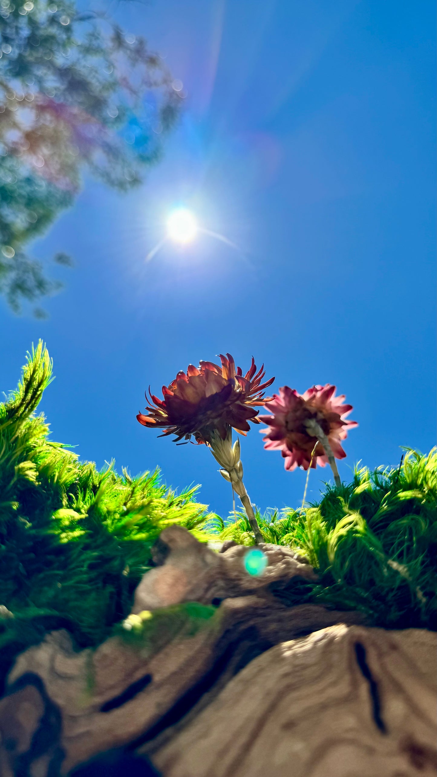 Wildflower Centerpiece