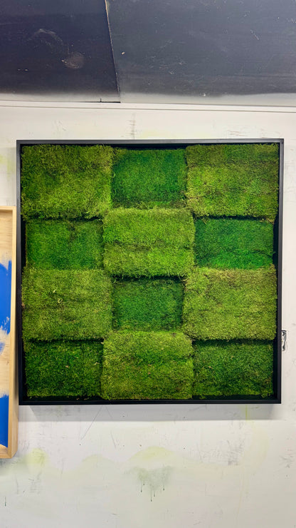 Block Moss Panels